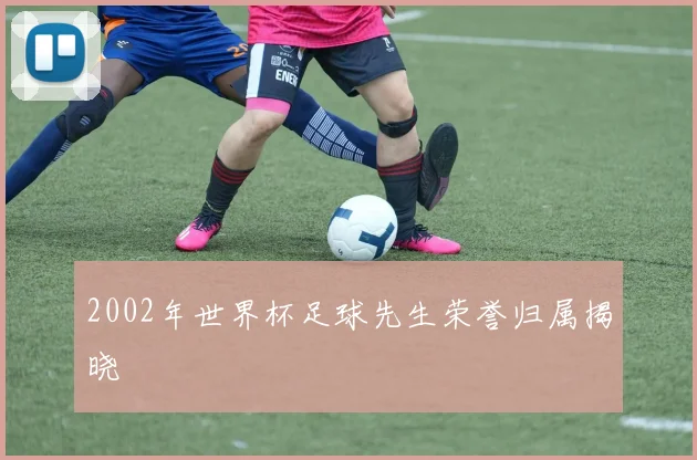 2002年世界杯足球先生荣誉归属揭晓
