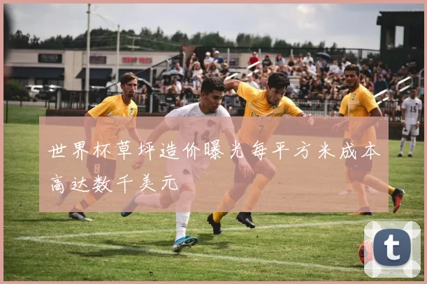 世界杯草坪造价曝光每平方米成本高达数千美元