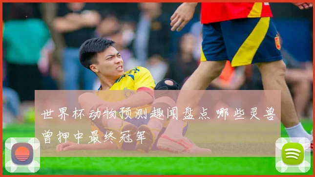 世界杯动物预测趣闻盘点 哪些灵兽曾押中最终冠军