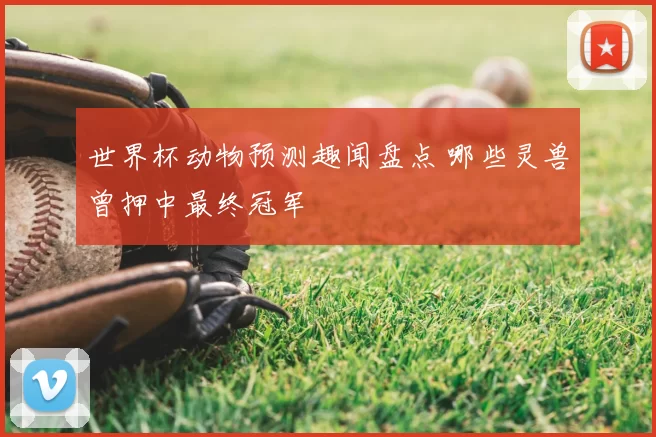 世界杯动物预测趣闻盘点 哪些灵兽曾押中最终冠军